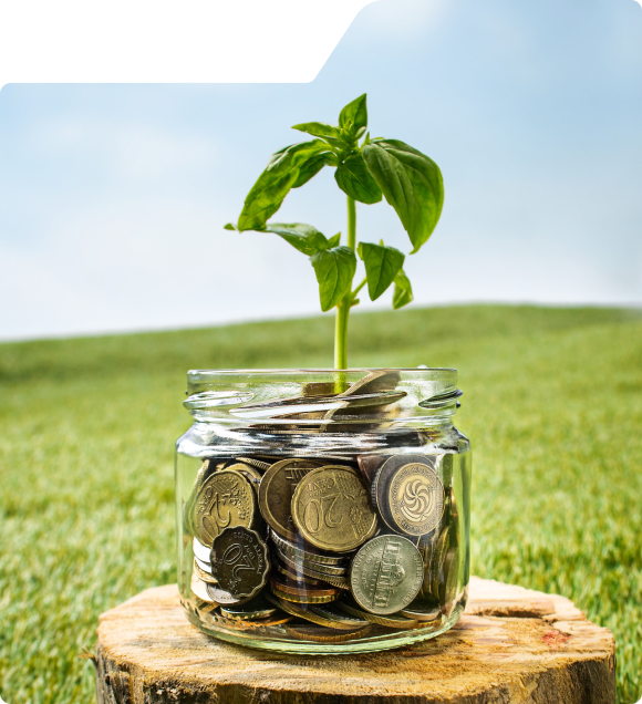 Elitemarketcointrend